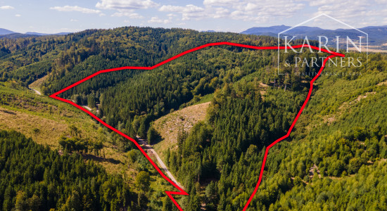 HOSPODÁRSKY LES V OBCI BUDIŠ V OKRESE TURČIANSKE TEPLICE