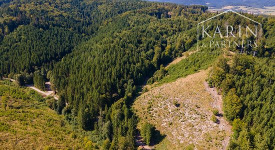 HOSPODÁRSKY LES V OBCI BUDIŠ V OKRESE TURČIANSKE TEPLICE