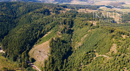 HOSPODÁRSKY LES V OBCI BUDIŠ V OKRESE TURČIANSKE TEPLICE