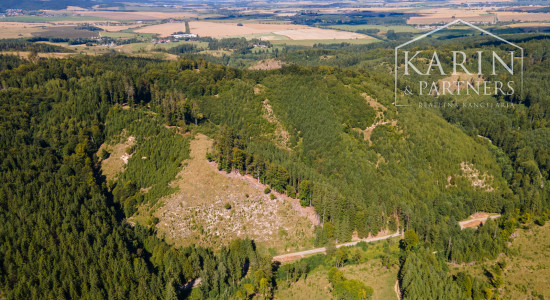 HOSPODÁRSKY LES V OBCI BUDIŠ V OKRESE TURČIANSKE TEPLICE