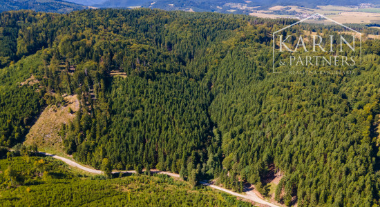 HOSPODÁRSKY LES V OBCI BUDIŠ V OKRESE TURČIANSKE TEPLICE