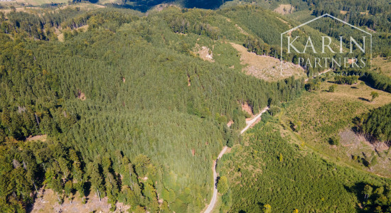 HOSPODÁRSKY LES V OBCI BUDIŠ V OKRESE TURČIANSKE TEPLICE