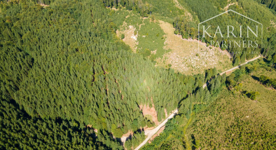 HOSPODÁRSKY LES V OBCI BUDIŠ V OKRESE TURČIANSKE TEPLICE