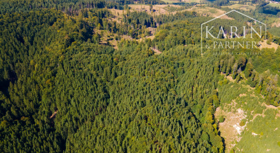 HOSPODÁRSKY LES V OBCI BUDIŠ V OKRESE TURČIANSKE TEPLICE