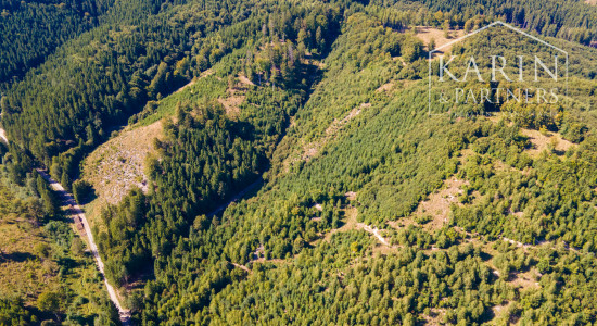 HOSPODÁRSKY LES V OBCI BUDIŠ V OKRESE TURČIANSKE TEPLICE