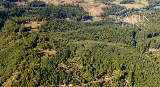 HOSPODÁRSKY LES V OBCI BUDIŠ V OKRESE TURČIANSKE TEPLICE