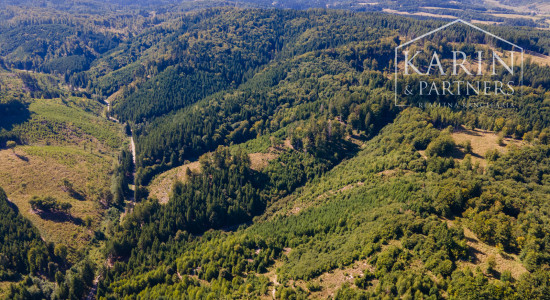 HOSPODÁRSKY LES V OBCI BUDIŠ V OKRESE TURČIANSKE TEPLICE