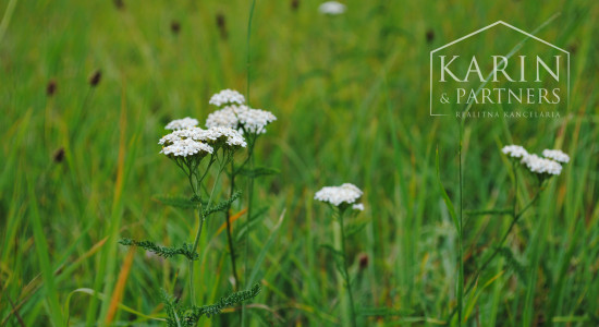 VEĽKÝ ROVINATÝ POZEMOK V PODBREZOVEJ V ČASTI LOPEJ