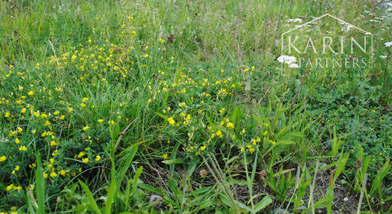 VEĽKÝ ROVINATÝ POZEMOK V PODBREZOVEJ V ČASTI LOPEJ