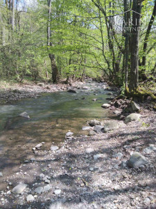 Predaj – Pozemok s rodinným domom-farmárska usadlosť-Horné Plachtince okr. Veľký Krtíš