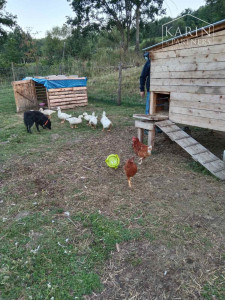 Predaj – Pozemok s rodinným domom-farmárska usadlosť-Horné Plachtince okr. Veľký Krtíš