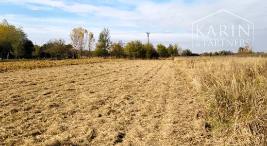 EXKLUZÍVNE len u Nás: Predaj záhrady, odčlenenej novozameranej parcely v obci Palárikovo, vo výmere cca.1500m2