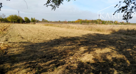 EXKLUZÍVNE len u Nás: Predaj záhrady, odčlenenej novozameranej parcely v obci Palárikovo, vo výmere cca.1500m2