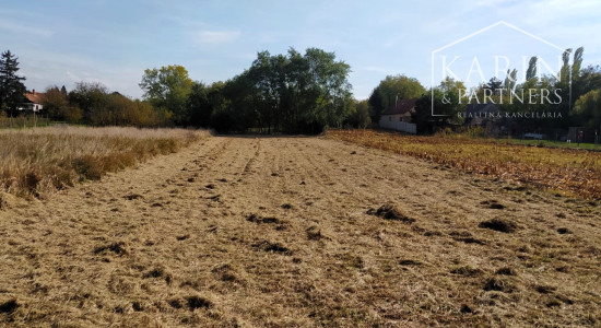 EXKLUZÍVNE len u Nás: Predaj záhrady, odčlenenej novozameranej parcely v obci Palárikovo, vo výmere cca.1500m2