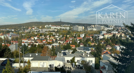 Vila pri Horskom parku na predaj.