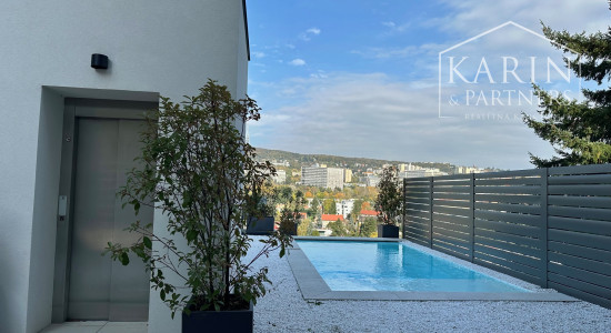 Vila pri Horskom parku na predaj.