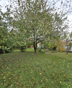 Predaj - 5 izbový, dvojgeneračný rodinný dom - Rajka Maďarsko