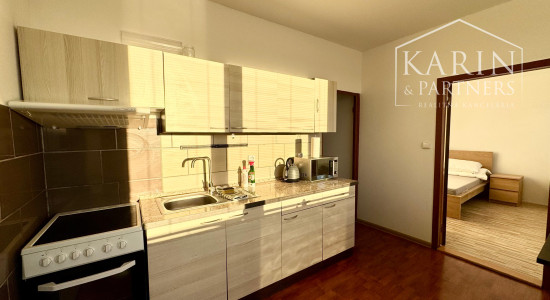 3i ZARIADENÝ BYT NA PRENÁJOM, D.RAPANTA, HOLÍČ