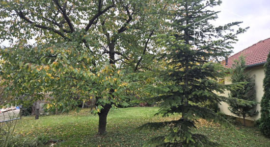 Predaj - 5 izbový, dvojgeneračný rodinný dom - Rajka Maďarsko