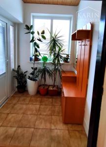 EXKLUZÍVNE na PREDAJ: Rodinný dom 4izbový s garážou, Palárikovo