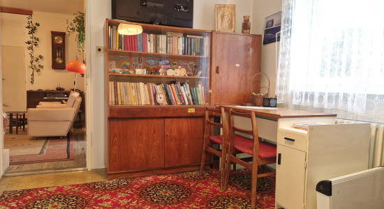 PRIESTRANNÝ 3I BYT S GARÁŽOU | HORSKÝ PARK | POTENCIÁL PREROBENIA NA 4I BYT