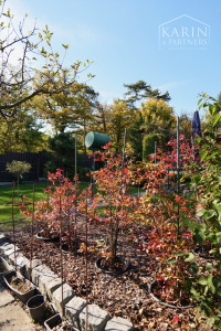 Stavebný pozemok Rača 399 m² – tichá lokalita pri lese, Pekná cesta, Bratislava