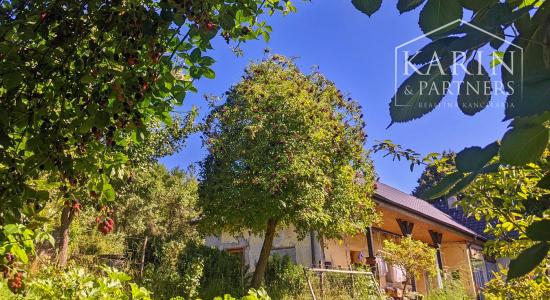 Chalupa pod lesom s ovocným sadom, 4144 m2, Nová Bošáca.