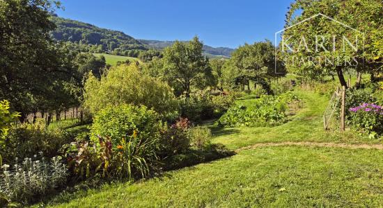 Chalupa pod lesom s ovocným sadom, 4144 m2, Nová Bošáca.