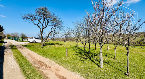 PREDAJ: CHATA S POZEMKOM 911 M² – SKALICA