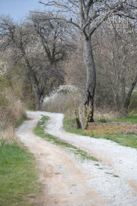 Relax v Žiranoch: Záhrada s dušou