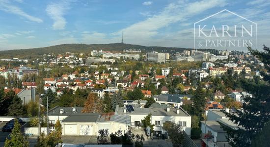 Vila s bazénom pri Horskom parku na prenájom