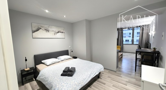 Prenájom - 2 izbový byt  v komplexe Eurovea - Pribinova ul. Exkluzívne!