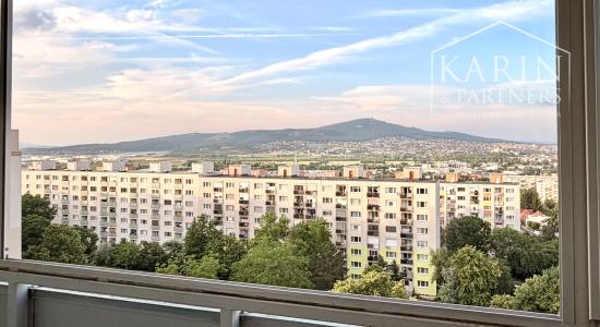 PRENÁJOM/3-izb. byt ,loggia, špajza, klimatizácia, Nitra-Diely