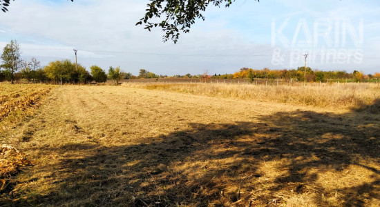 Predaj záhrada: odčlenená novozameraná parcela cca.700m2, Palárikovo