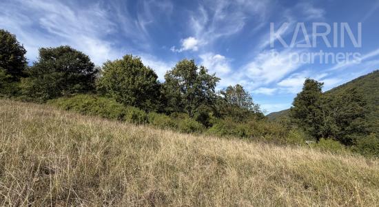 EXKLUZÍVNA FARMA NA SAMOTE – 33 000 m², NOVOSTAVBA DOMU, ABSOLÚTNE SÚKROMIE | HORNÉ PLACHTINCE | OKRES VEĽKÝ KRTÍŠ