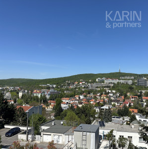 Vila s bazénom pri Horskom parku na prenájom