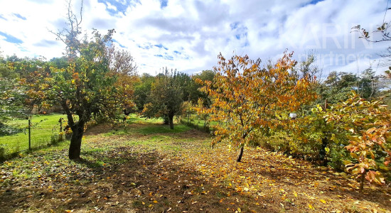 Priestranný pozemok pre Váš nový domov – Igram (okres Senec)