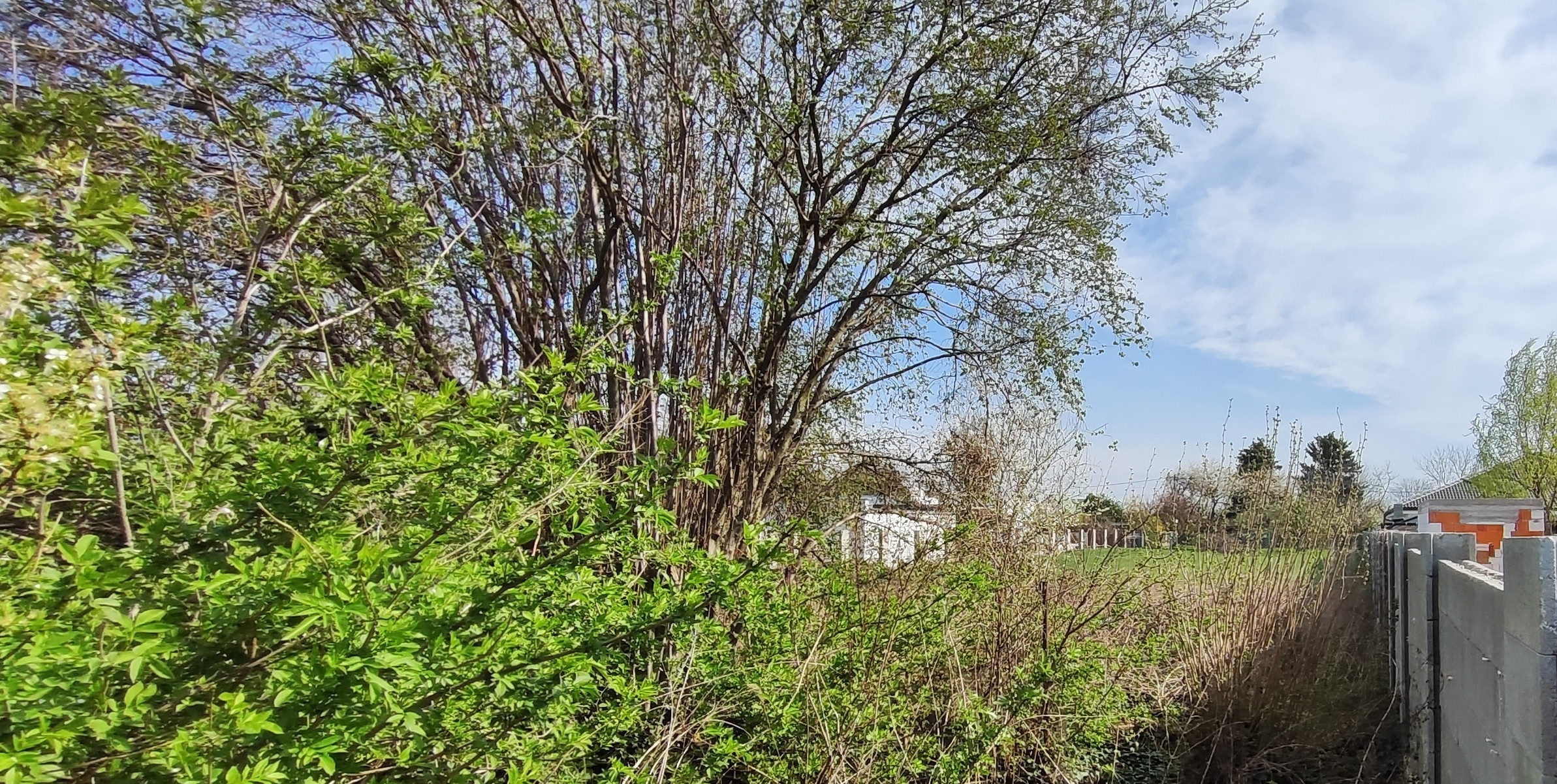 Pozemok Palárikovo, časť Ludovítov