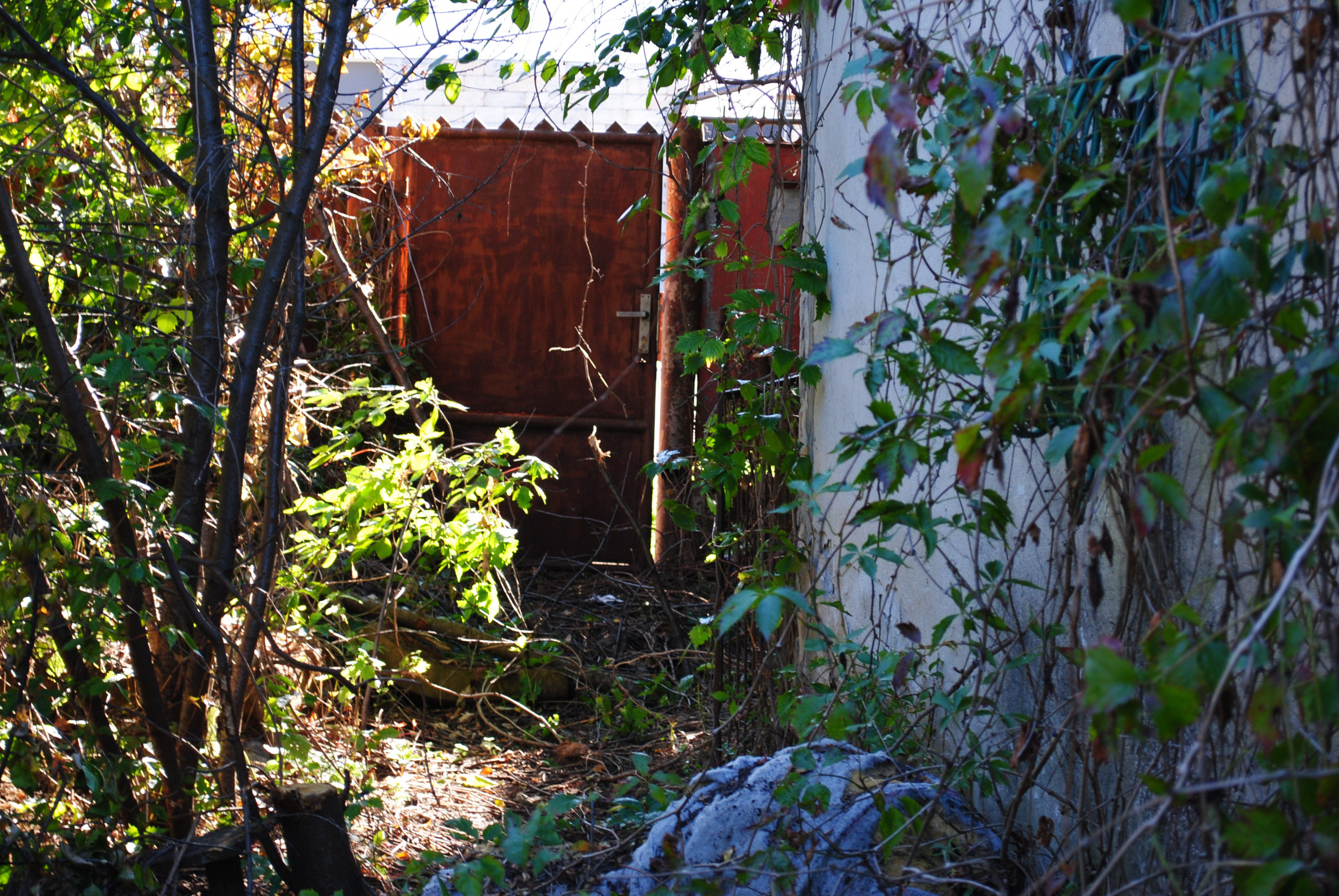 Veľký, slnečný a rovinatý pozemok Zemianske Sady