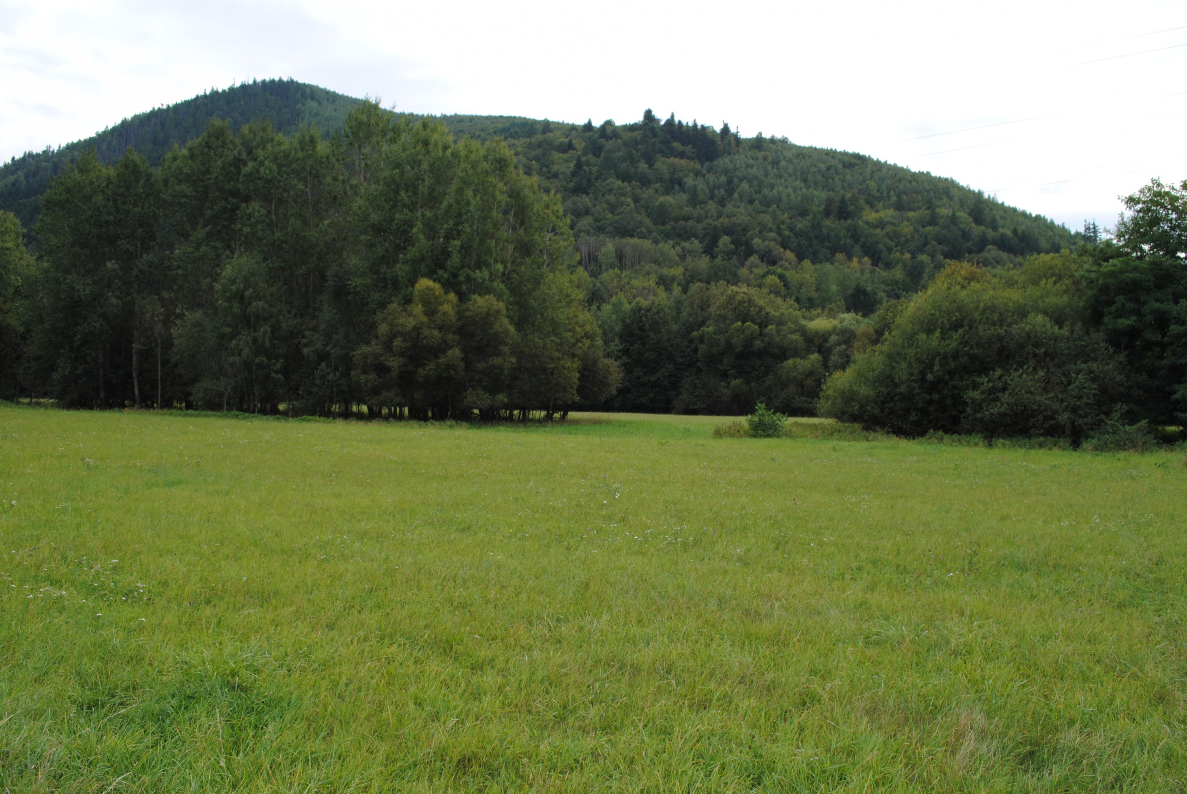 VEĽKÝ ROVINATÝ POZEMOK V PODBREZOVEJ V ČASTI LOPEJ