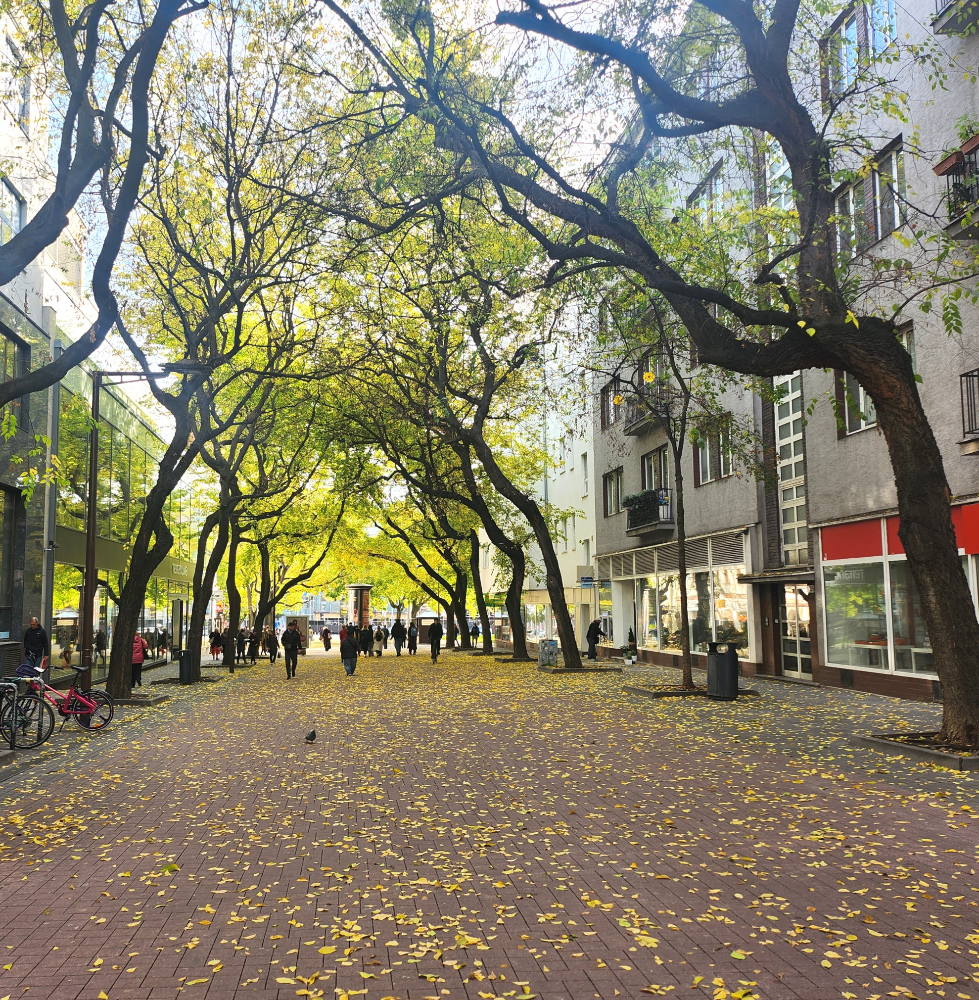 PRENÁJOM - Prémiové nebytové priestory s výkladmi do ulice v centre Bratislavy - BA I