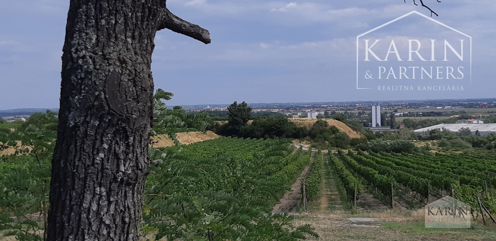 NA PREDAJ  POZEMOK NA INVESTÍCIU BRATISLAVA –RAČA , KAMILKOVÁ UL.