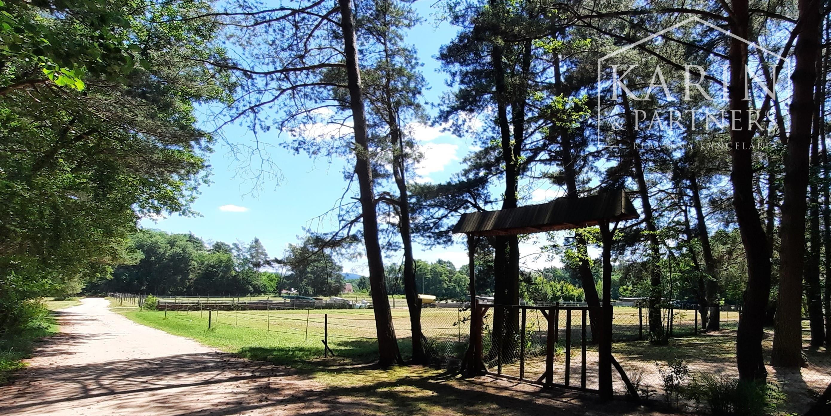 PREDANÝ  - NA PREDAJ: ZÁHRADA S CHATKOU PRI LESE, 412 M2, LOZORNO