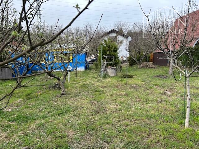 PREDANÝ  - NA PREDAJ: ZÁHRADA S CHATKOU PRI LESE, 412 M2, LOZORNO