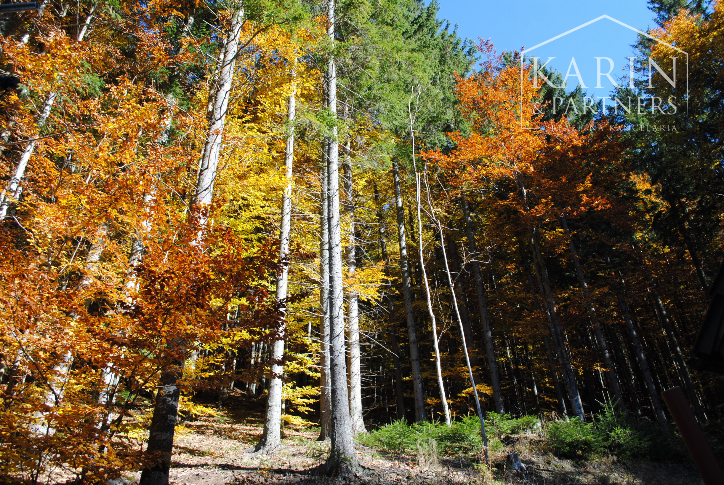 Rekreačná chata - v krásnom vysokohorskom prostredí v srdci Nízkych Tatier.
