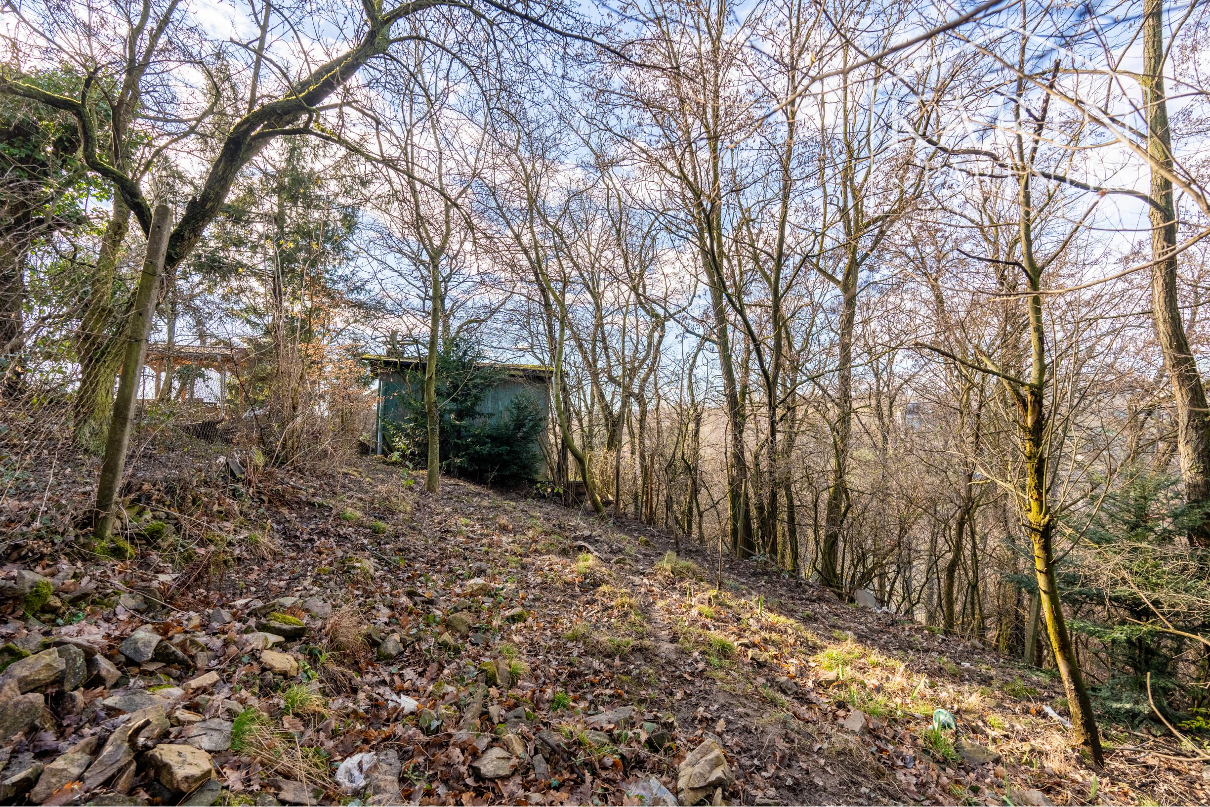 Rekreačný pozemok s chatkou | voda | elektrina | Lamač, Zlatá Hora