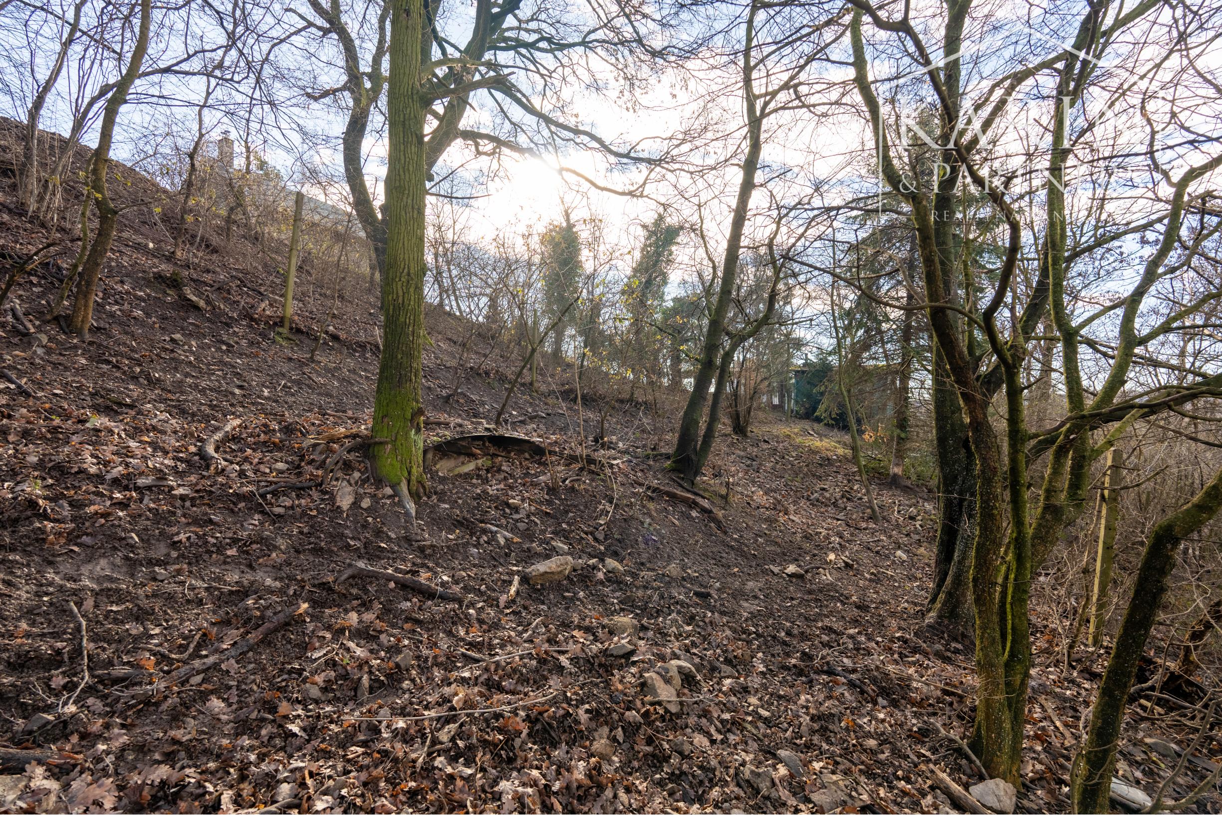 Pozemok s chatkou (1633 m²) v prostredí Bratislavského lesa – Lamač, Zlatá Hora