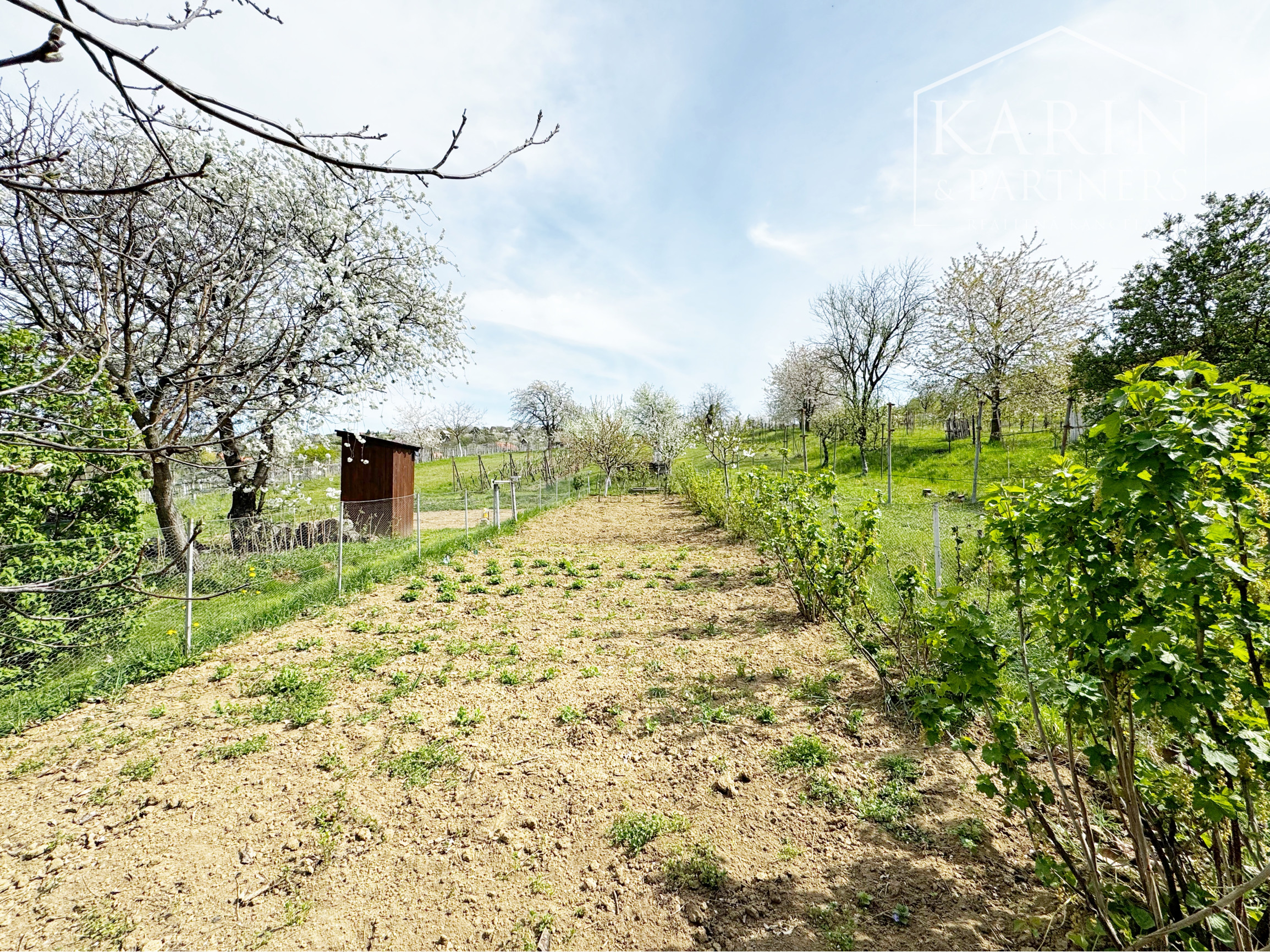 Vinohradnícky domček po reko aj s vinohradom, za Líštinami