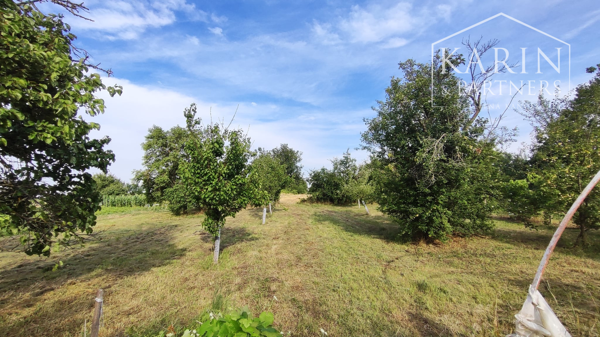 Na predaj priestranný rodinný dom s veľkým pozemkom a možnosťou ďalšej výstavby – ideálne miesto na bývanie aj investíciu