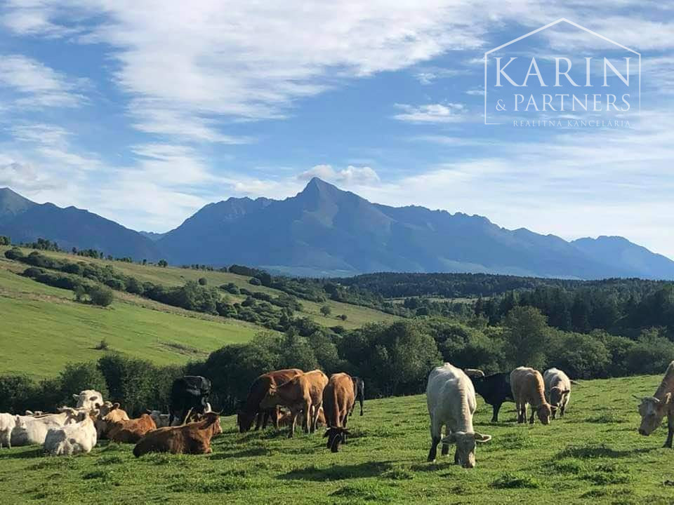 POZEMOK   2 374 m2  Liptovský Ján  okr. Liptovský Mikuláš